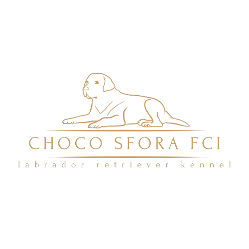 CHOCO SFORA FCI