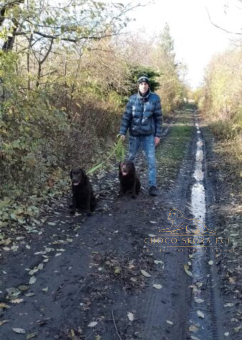 Projekt bez nazwy (14)