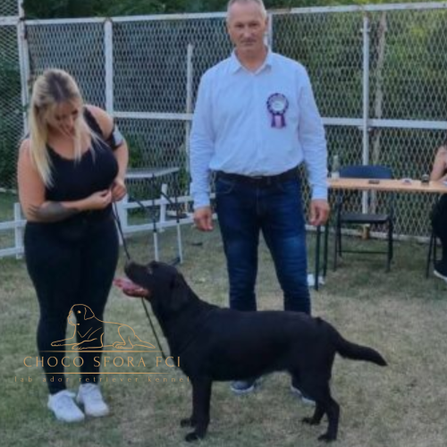 Projekt bez nazwy (30)